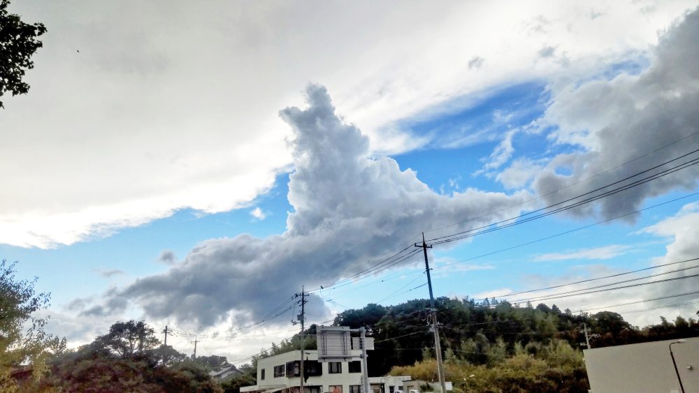 松浦造園　雲　白うさぎ