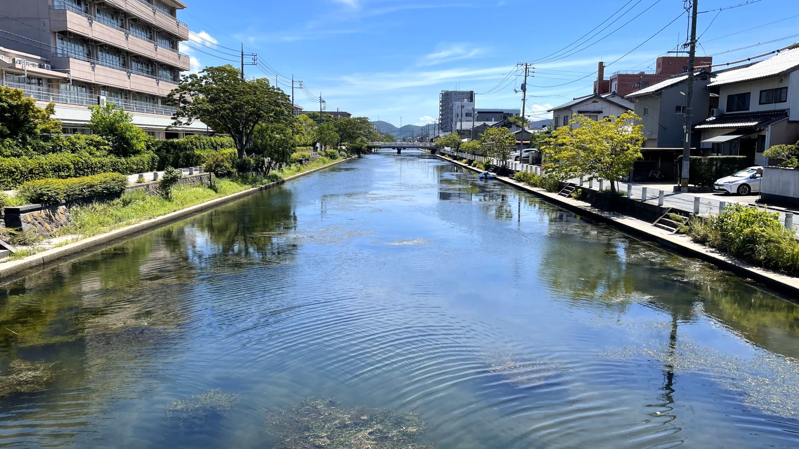 松浦造園　松江　川　風景