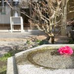松浦造園　庭