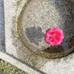 松浦造園　庭