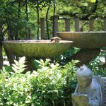 松浦造園　庭　バードバス