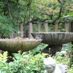 松浦造園　庭　バードバス