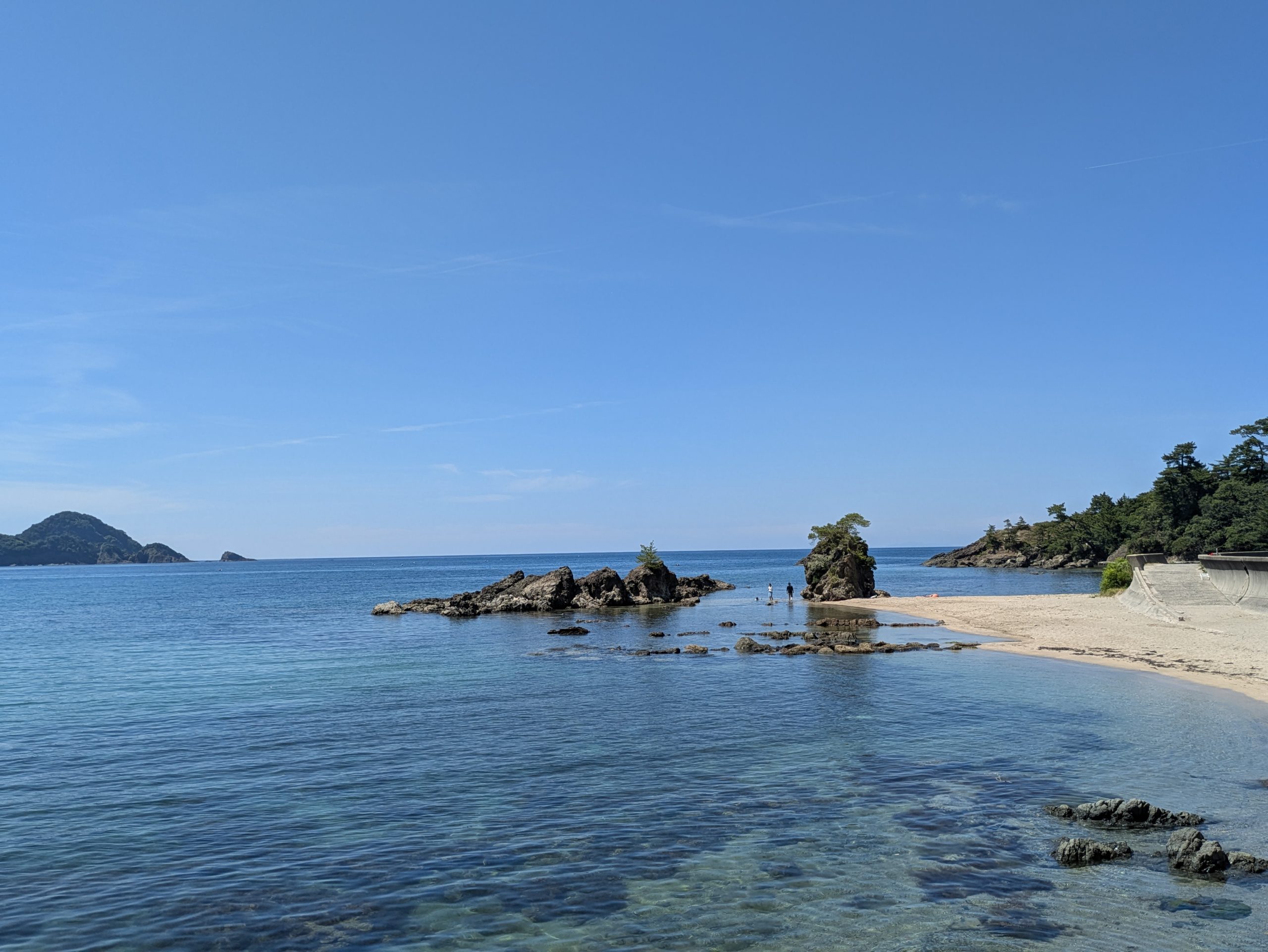 松浦造園　島根県　海　クロマツ