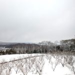 松浦造園㈱ 島根県 雪