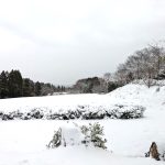 松浦造園㈱ 島根県 雪